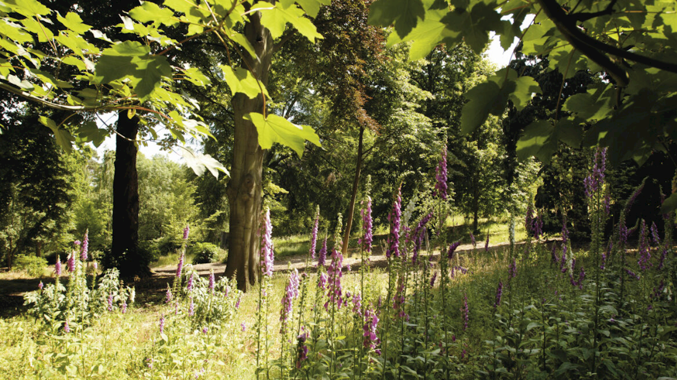 Campus Grounds